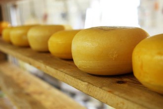 Jak rozpoznać prawdziwe sery?