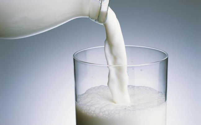 Produkcja mleka - Etapy
